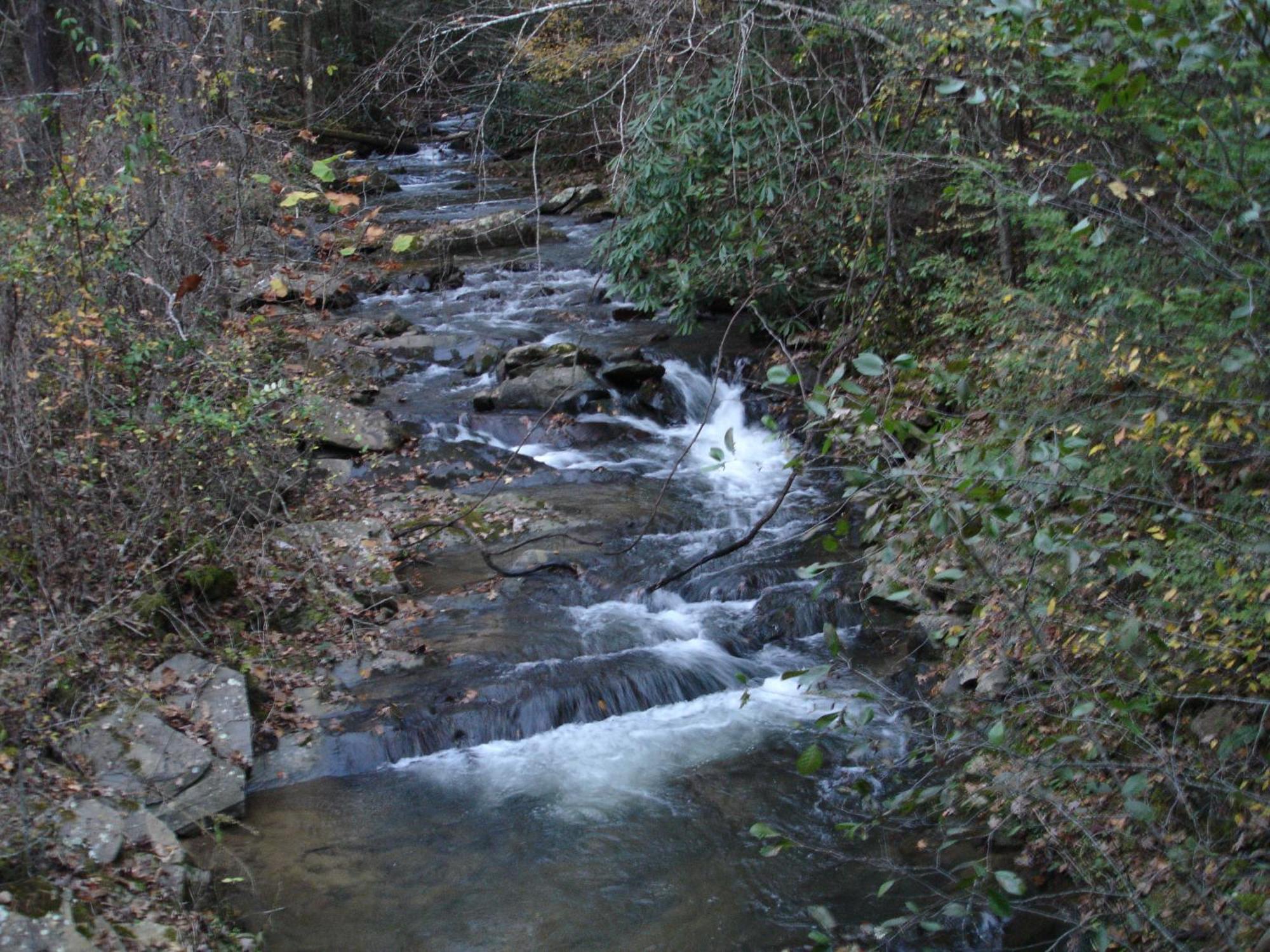 Stairway To Heaven, Breathtaking Mtn Views Indoor Pool & Hot Tub Apartment Gatlinburg Bagian luar foto